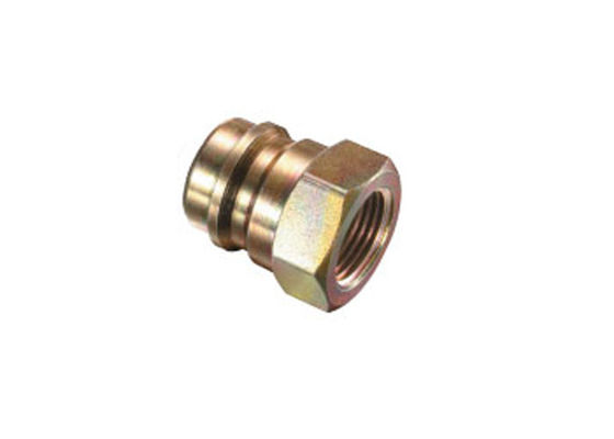 Hydraulische Schnellkopplung aus Edelstahl 316L