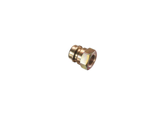 Hydraulische Schnellkopplung aus Edelstahl 316L